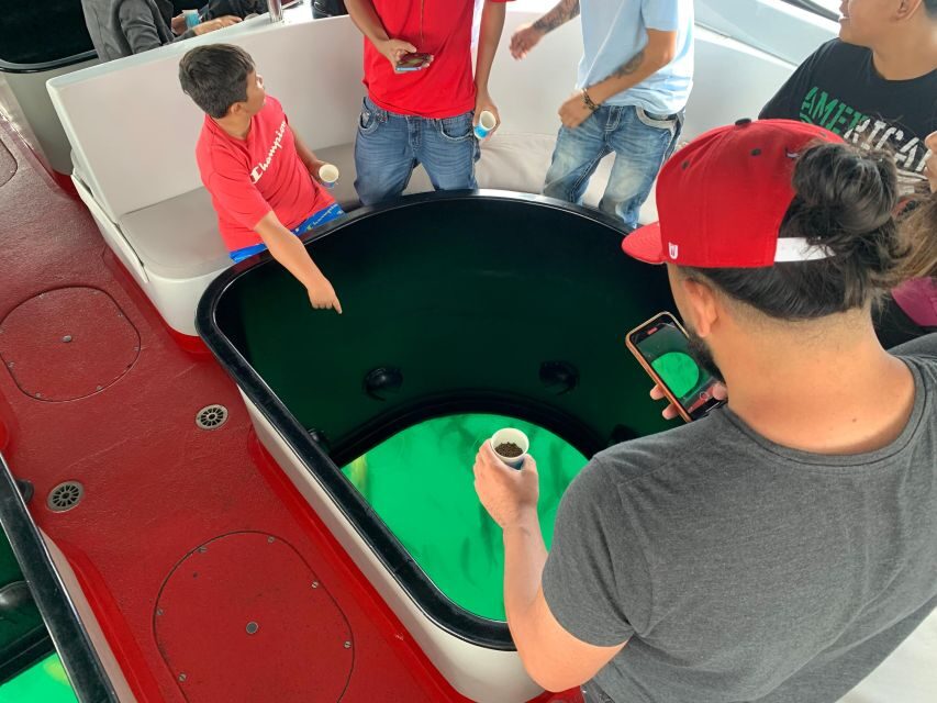 Long Beach: Glass Bottom Boat Harbor Ecotour - Getting There: Dock 7, Parking, and Timing Tips