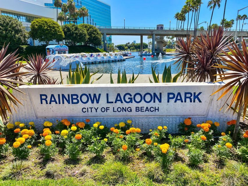 Long Beach: Swan Boat Rental at Rainbow Lagoon - Day ride vs LED night ride: which timing fits your mood