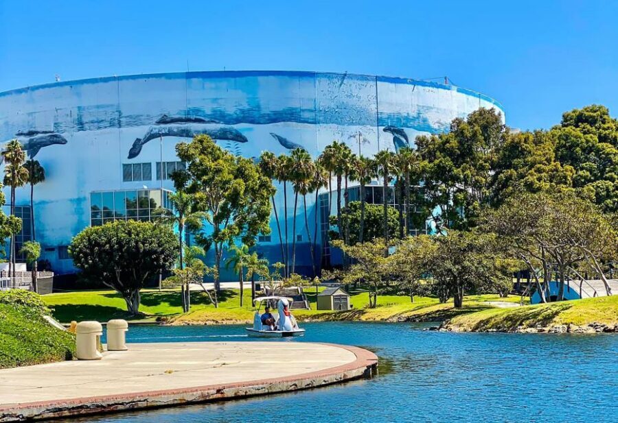 Long Beach: Swan Boat Rental at Rainbow Lagoon - What’s included (and what you should plan to bring)