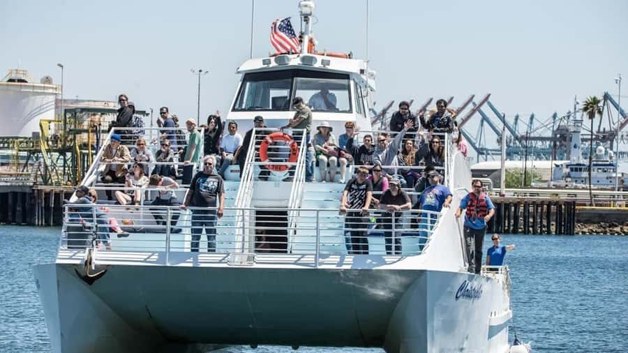 Long Beach: Whale and Dolphin Watching Cruise - Who this cruise is best for (and who should pick a different day plan)