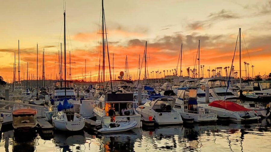 Los Angeles #1: Luxury Boat Cruise-Wine, Cheese & Sea Lions - Key highlights that make this cruise worth your time