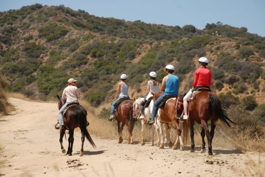 Los Angeles: 2-Hour Hollywood Trail Horseback Riding Tour - Entering Griffith Park from Sunset Ranch: the LA ride that feels like a detour into nature