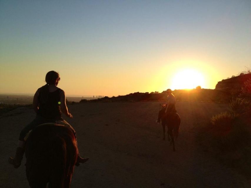 Los Angeles: 2-Hour Hollywood Trail Horseback Riding Tour - Riding the Griffith Park hills: how you get those big LA views