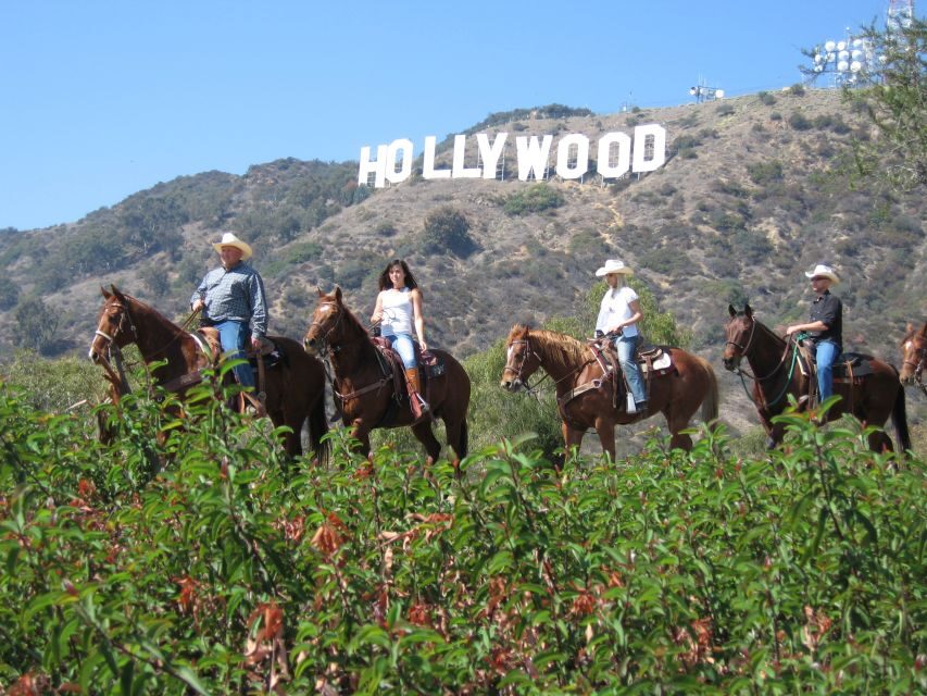 Los Angeles: 2-Hour Hollywood Trail Horseback Riding Tour - Safety and physical limits: what could keep this from being a good fit