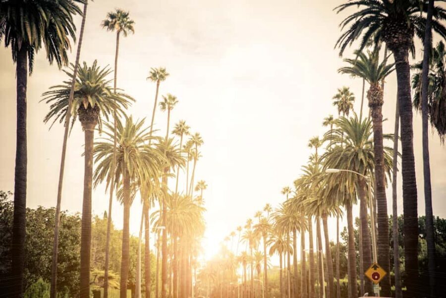 Los Angeles 4-Hour Private Tour: Beverly Hills & More - Key highlights you’ll feel during the tour