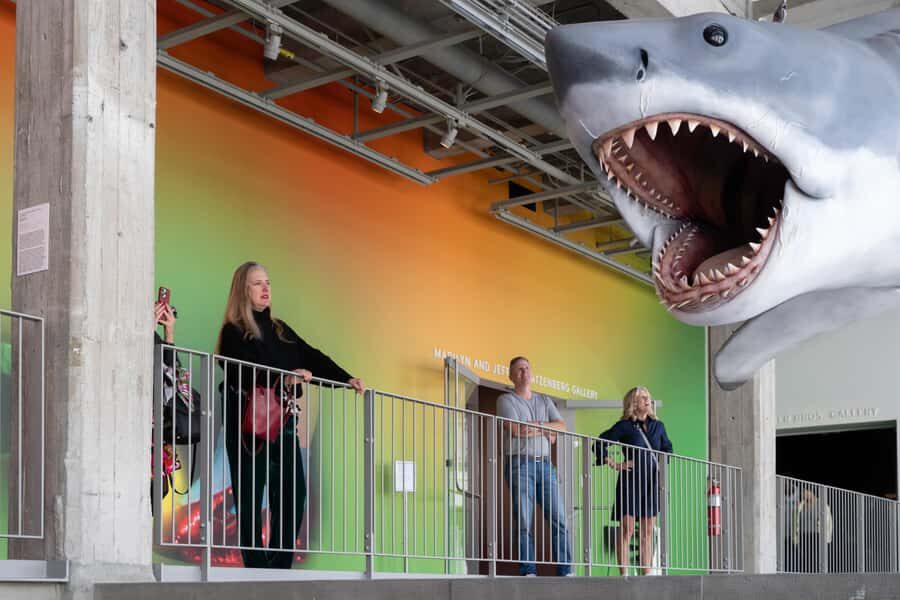 Los Angeles: Academy Museum of Motion Pictures Ticket - What the Museum Feels Like: Modern Design, Dark Rooms, Easy Flow
