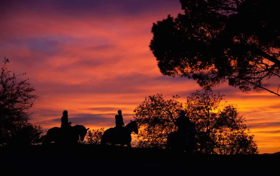 Los Angeles: Evening 2-Hour Hollywood Horseback Riding Tour - Entering Griffith Park: Sunset Ranch and the Beachwood Drive meeting point