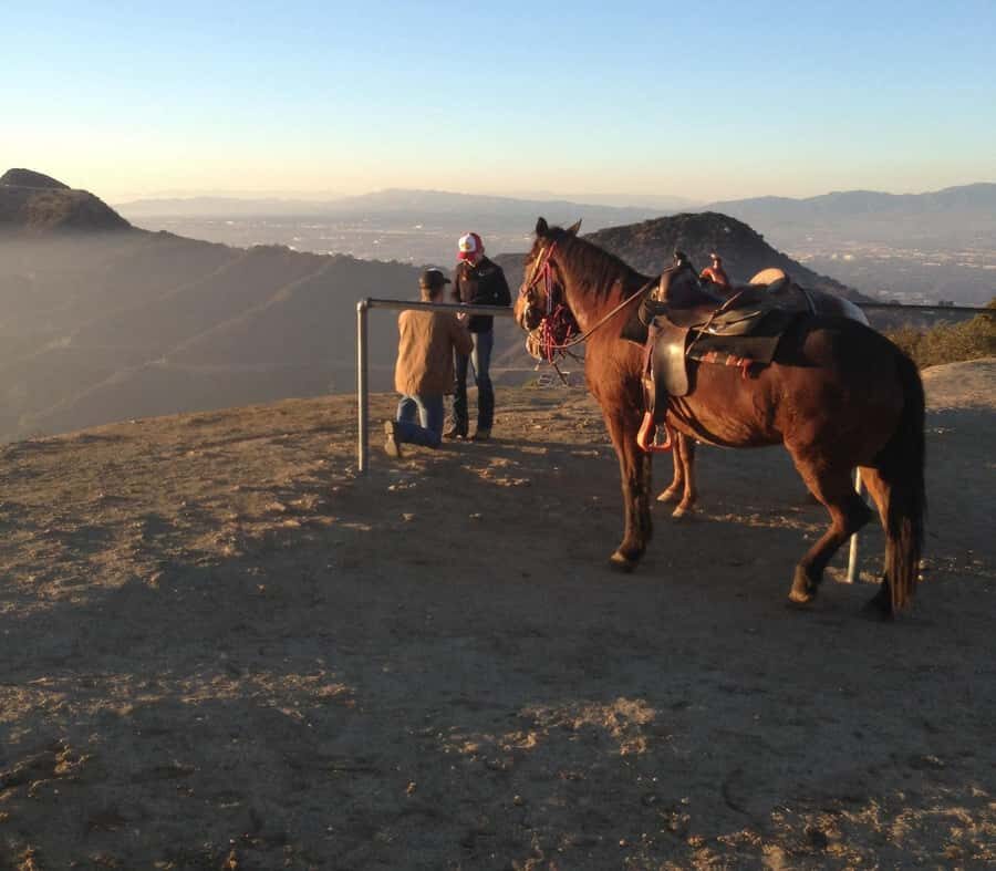 Los Angeles: Evening 2-Hour Hollywood Horseback Riding Tour - The big payoff: 360 views, the Hollywood Sign, and Griffith Observatory