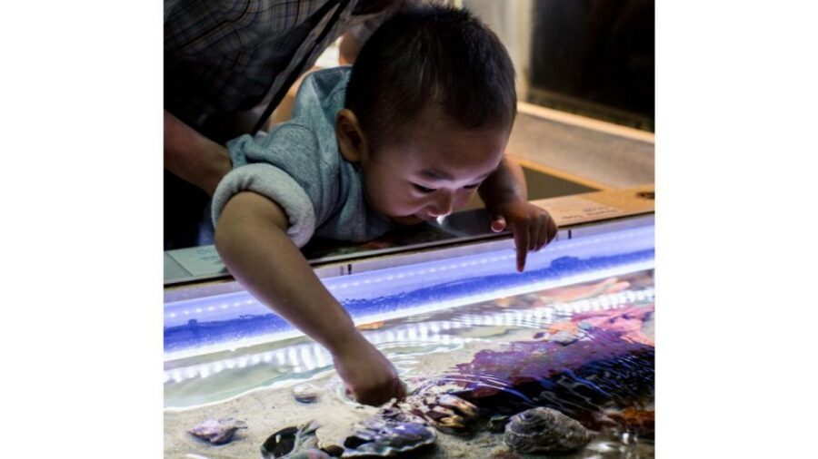 Los Angeles: Heal The Bay Aquarium in Santa Monica - How long should you plan for?