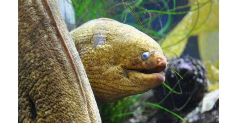 Los Angeles: Heal The Bay Aquarium in Santa Monica - What you actually do there: touch tanks, feeding moments, and getting close