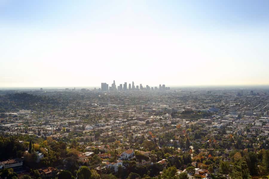 Los Angeles, Hollywood, & Beverly Hills Afternoon City Tour - Who should book this tour (and who should skip it)