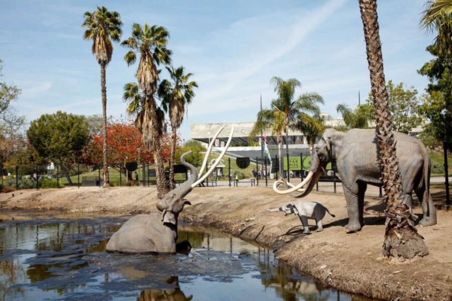 Los Angeles: La Brea Tar Pits Museum Ticket - Key things I’d circle before you go