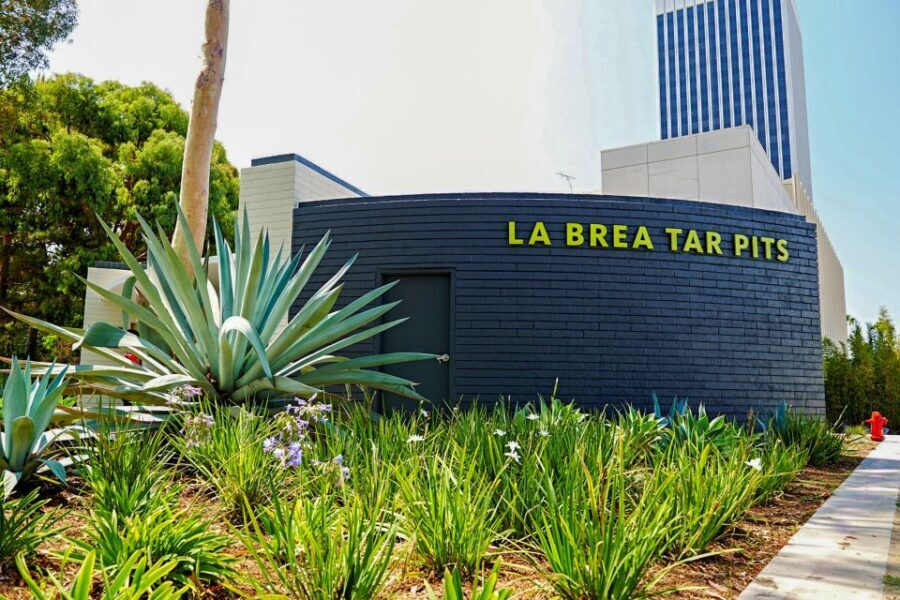 Los Angeles: La Brea Tar Pits Museum Ticket - Pit 91 and the bubbling tar: the Ice Age you can see