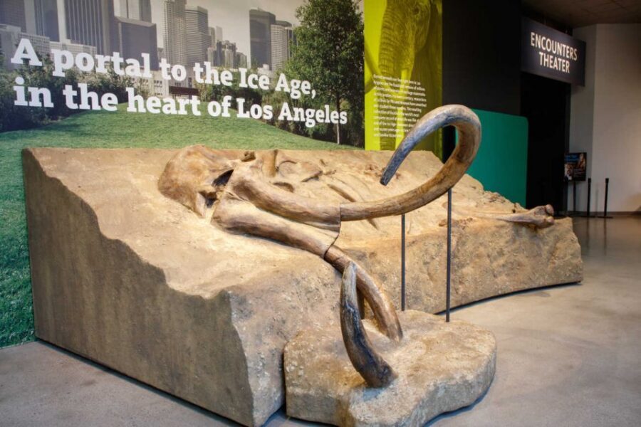 Los Angeles: La Brea Tar Pits Museum Ticket - Pleistocene Gardens: picnic energy with a science tie-in