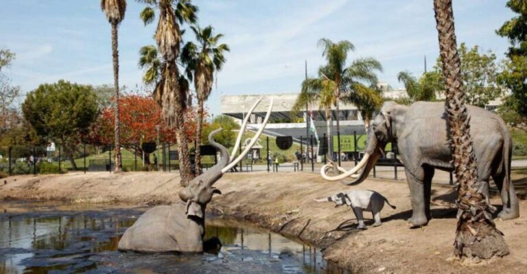 Los Angeles: La Brea Tar Pits Museum Ticket - Arrival at the Page Museum: start strong and beat the heat