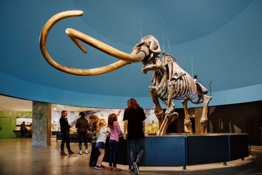 Los Angeles: La Brea Tar Pits Museum Ticket - Who this ticket suits best (and who might want a different plan)