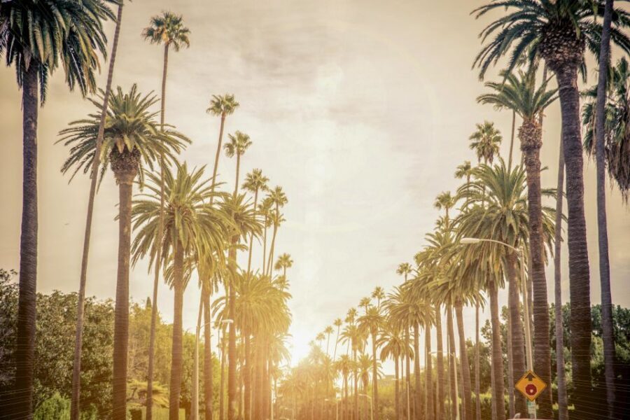 Los Angeles: LA in a Day Guided Electric Bike Tour - Price and value: what $214 buys you (and what it doesn’t)