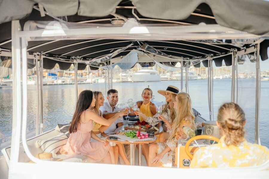 Los Angeles: Luxury Cruise with Wine, Cheese & Sea Lions - Sea Lions, Birds, and What to Watch For