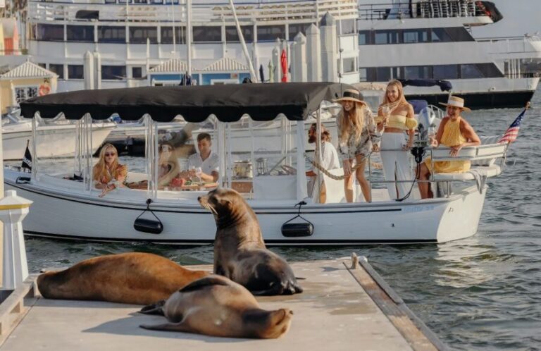 Los Angeles: Luxury Cruise with Wine, Cheese & Sea Lions - Where You Go: From the Dock to the Marina del Rey Main Channel