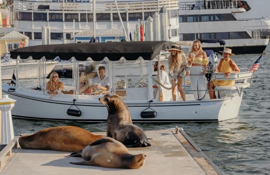 Los Angeles: Luxury Cruise with Wine, Cheese & Sea Lions - Where You Go: From the Dock to the Marina del Rey Main Channel
