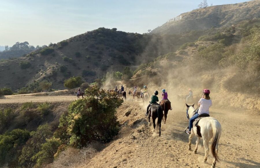 Los Angeles: Mulholland Trail Horseback Riding Tour - Key moments that make this ride worth your time