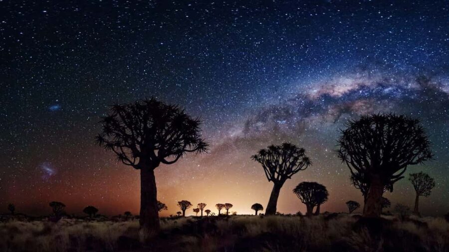 Los Angeles: Private Tour to Joshua Tree National Park - Timing that works: right stops, right moments (sunset and night sky included)
