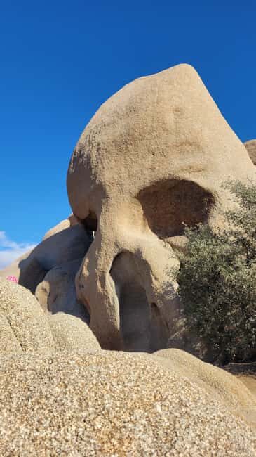 Los Angeles: Private Tour to Joshua Tree National Park - Six hours in Joshua Tree: the best “hit list” route