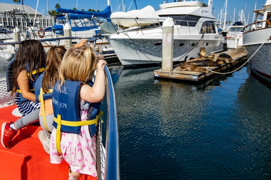 Los Angeles: Redondo Beach Glass Bottom Boat Cruise - Glass-bottom layout: what you’ll actually see below deck