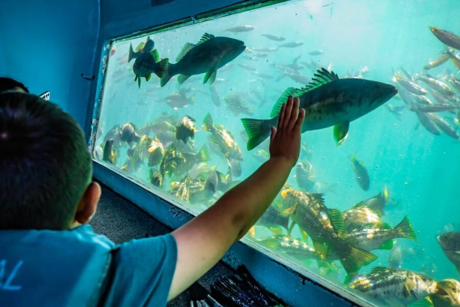 Los Angeles: Redondo Beach Glass Bottom Boat Cruise - What’s included onboard (and what you should bring)