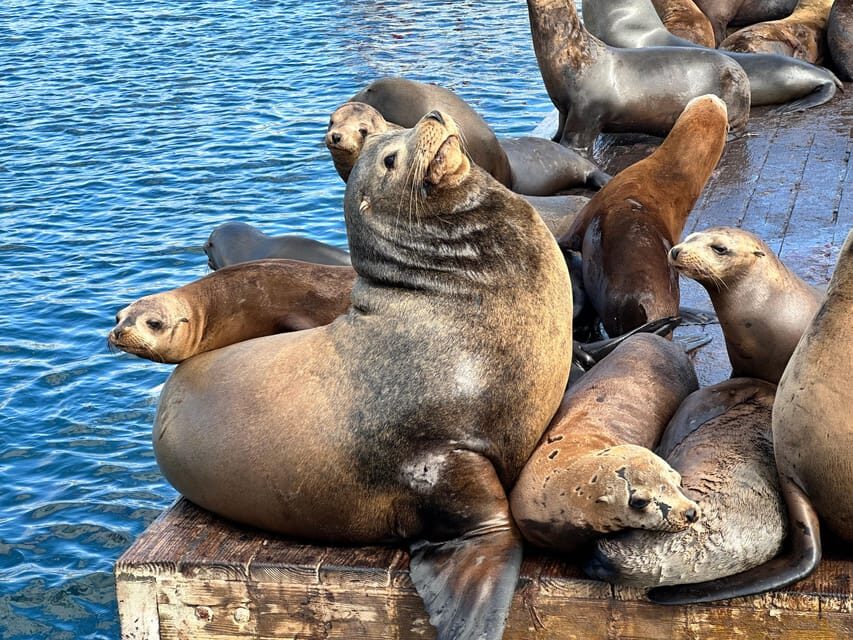 Los Angeles: Redondo Beach Glass Bottom Boat Cruise - Comfort, rules, and practical tips for a smooth cruise