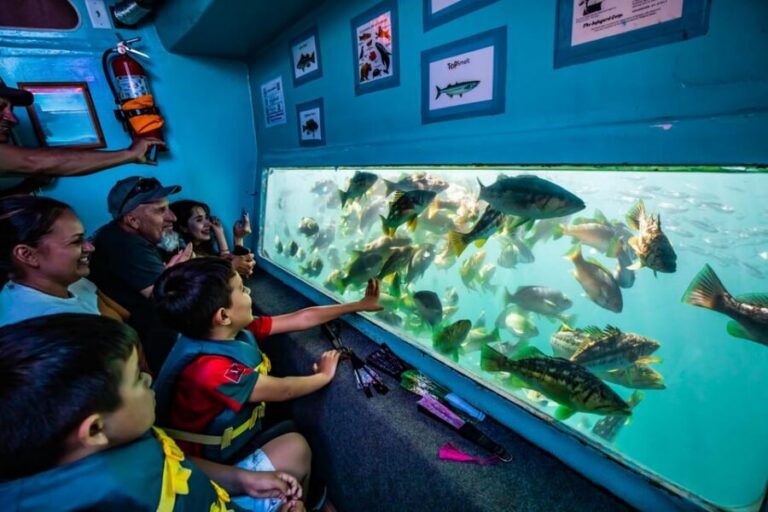 Los Angeles: Redondo Beach Glass Bottom Boat Cruise - Above-deck sea lion spotting and ocean views in real time