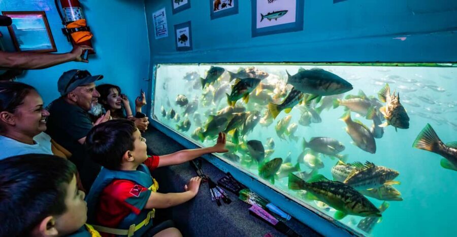 Los Angeles: Redondo Beach Glass Bottom Boat Cruise - Who should book this glass-bottom cruise—and who should skip it