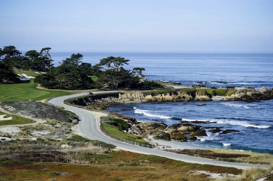 Los Angeles-San Francisco,Yosemite National Park 3-Day Tour - The guide factor: why Chelsea made the difference