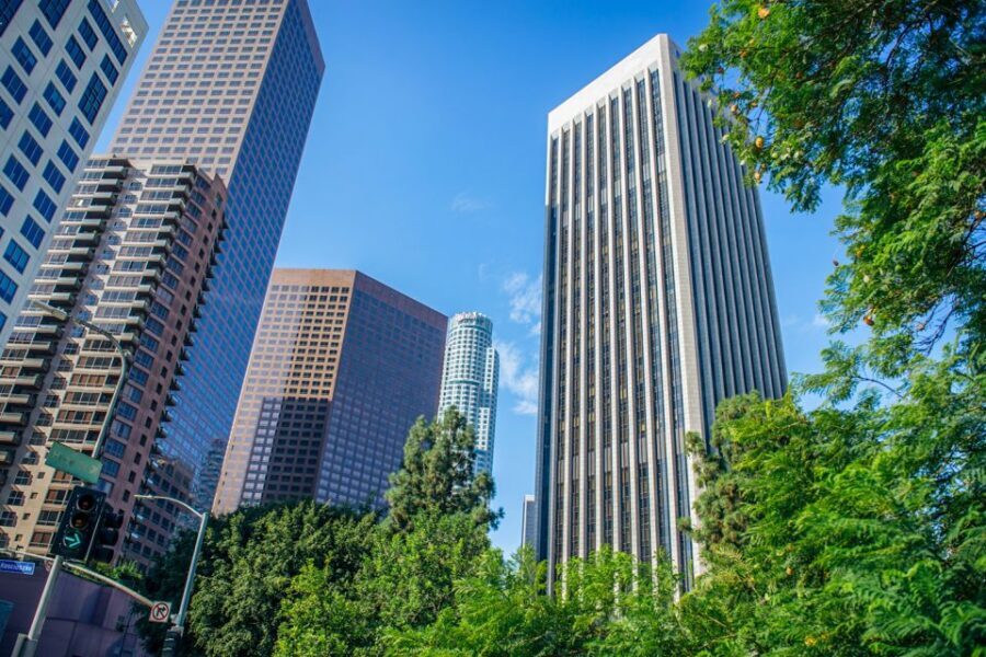 Los Angeles: Small Group Sightseeing Tour - Chinatown, Disney Concert Hall, and Civic Center Big-City Stops