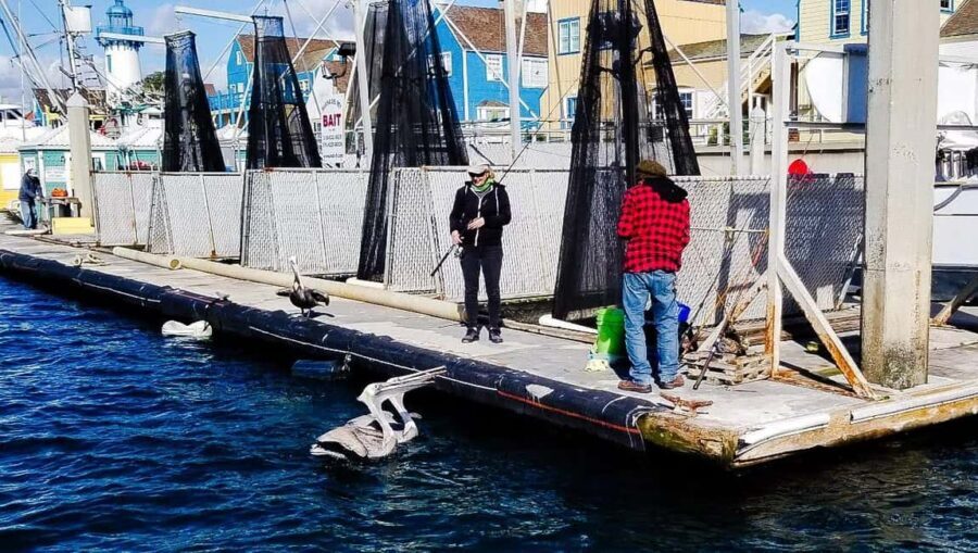 Los Angeles: Sunset Sailing - Should you book Sunset Sailing in Los Angeles?