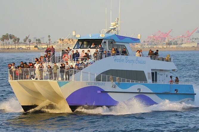 Los Angeles Whale and Dolphin Watching Cruise from West Harbor - Whale and Dolphin Watching the Ethical Way