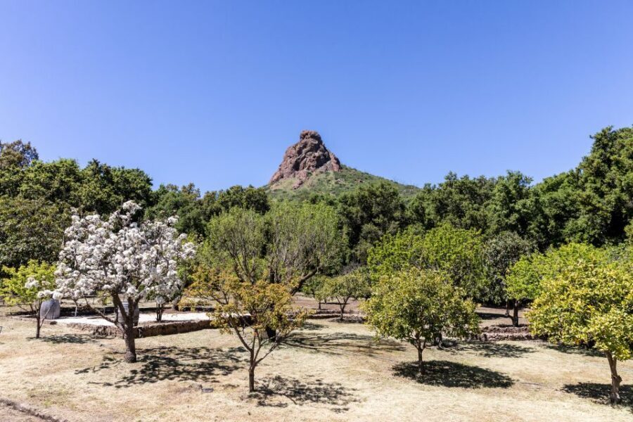 Malibu: Guided Vineyard Hike with Photo Stops and Wine - Price and value: what $49 gets you in Malibu