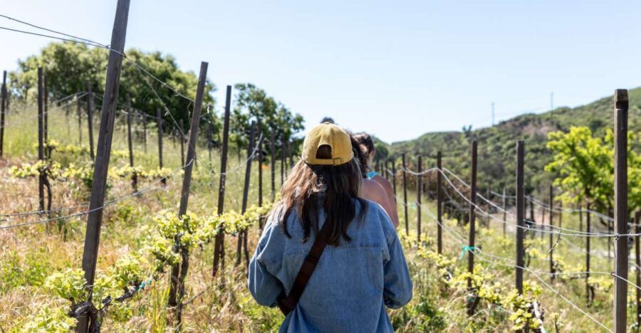 Malibu: Guided Vineyard Hike with Photo Stops and Wine - Private ranch portion: animals, terrain, and photo stops
