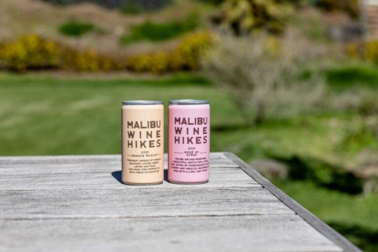 Malibu: Guided Vineyard Hike with Photo Stops and Wine - The 2-hour hike: easy to moderate, with stairs to think about