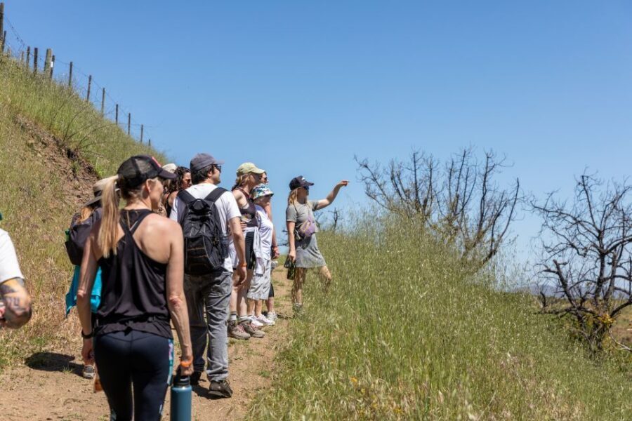Malibu: Guided Vineyard Hike with Photo Stops and Wine - Guides and group energy: where the ratings really come from
