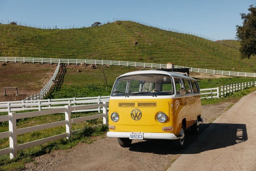 Malibu: Vintage VW Bus and Vineyard Tour - The vineyard walkabout with vintage radio music