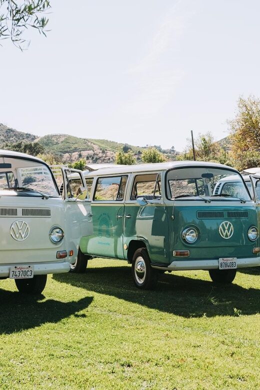 Malibu: Vintage VW Bus and Vineyard Tour - Tour guide energy makes or breaks short tours