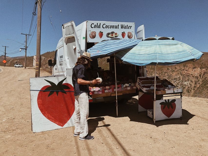 Malibu: Vintage VW Sightseeing Tour and Wine Tasting - Should you book the Malibu VW sightseeing and wine tasting tour?