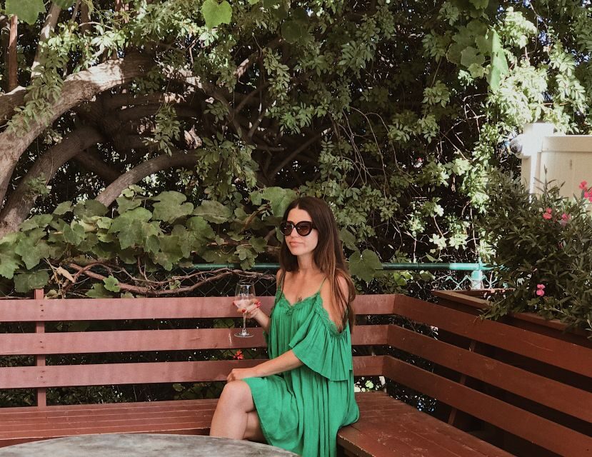 Malibu: Vintage VW Sightseeing Tour and Wine Tasting - Who this tour suits best