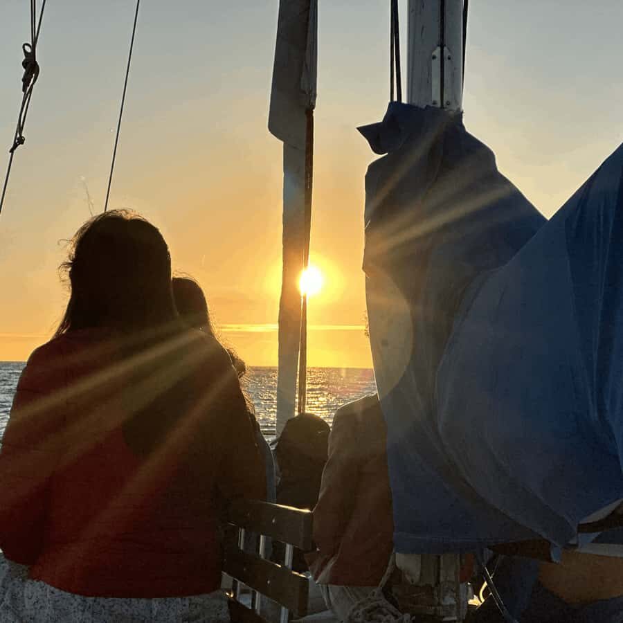 Marina del Rey: 1-Hour Boat Tour - Heading Toward the Mouth of the Ocean: Why This Short Tour Feels Different