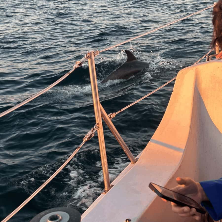 Marina del Rey: 1-Hour Boat Tour - The Live Guide’s Stories: History You Can Hear While You Float