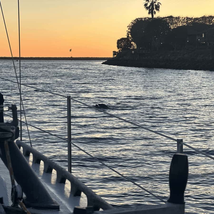Marina del Rey: 1-Hour Boat Tour - Who This Tour Fits Best (and Who Should Skip It)