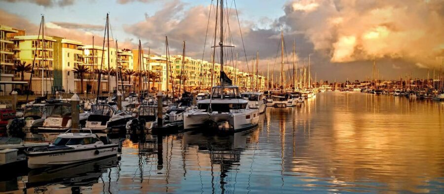 Marina Del Rey: Romantic Cruise, Dinner Charcuterie or Sushi - Wildlife moments: sea lions and dolphins, when luck and timing meet