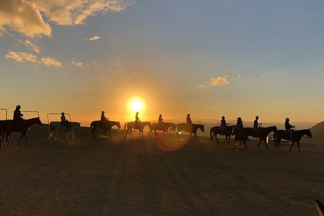 Mulholland Trail Horseback Tour - Who This Horseback Tour Is Best For (And Who Should Skip)