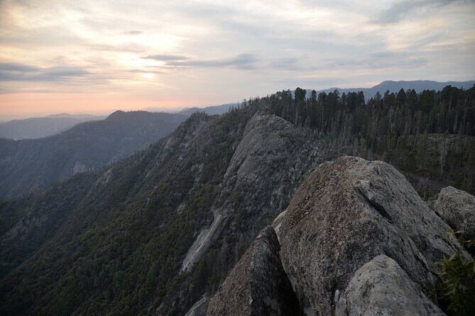 Private Day Tour to Sequoia and Kings Canyon Parks From LA - A long day that’s actually built for the giants